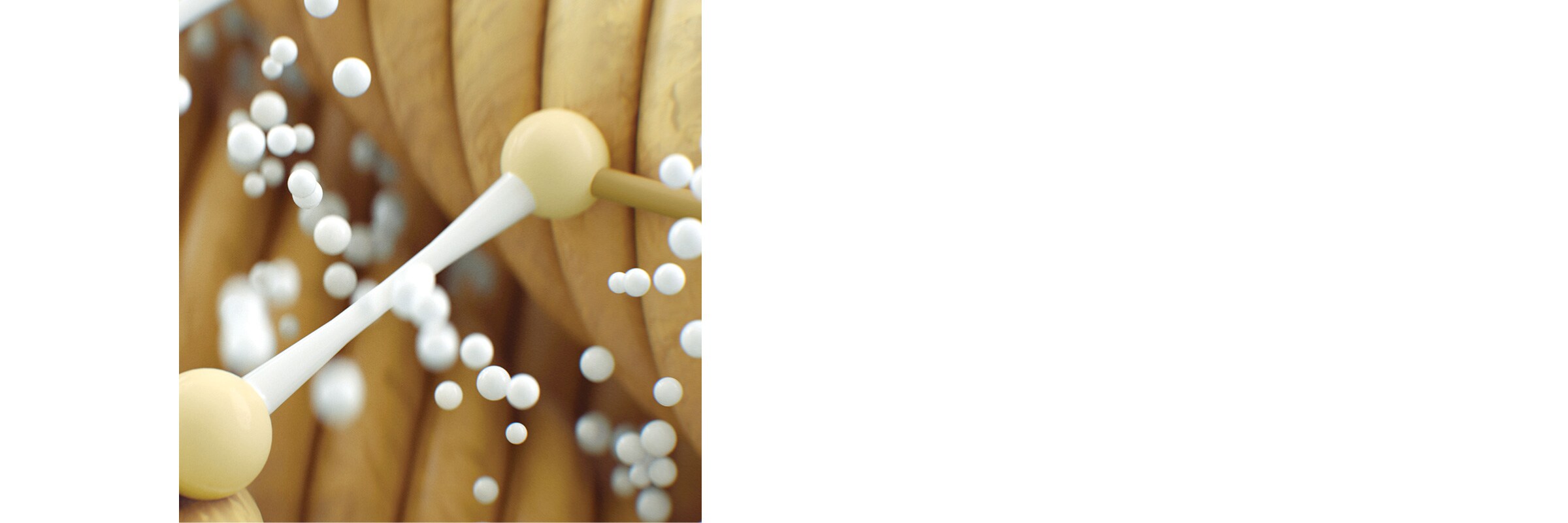 botanical repair professional treatment services